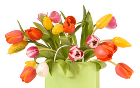 Tulips in a package