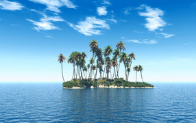 The island