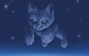 Constellation of a cat