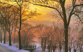 Gold dawn in the winter
