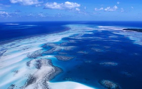 Coral Reef / Torres Strait Islands / Australia