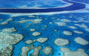 Great Barrier Reef Marine Park / Queensland / Australia