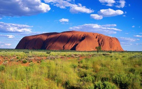 Uluru-Kata Tjata National Park /  Australia