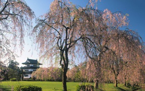 Замок Хиросаки, Япония