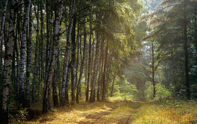 Польский лес