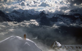 On Top of Eiger Peak, Berner Alpes