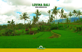 Lovina Bali