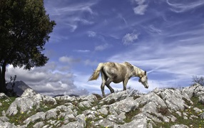 Серебряная лошадь
