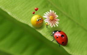 Smiley and ladybug