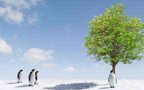 Green tree miracle for penguins