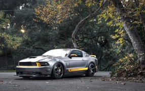 Ford Mustang muscle car vehicles wallpaper