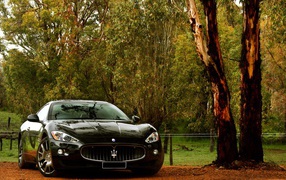 Black car Maserati