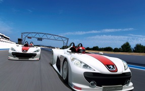 Race cars Peugeot