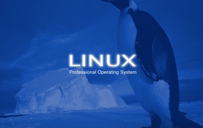 Linux operating system