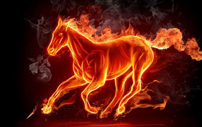 Beautiful fiery horse