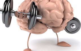 Training of brain