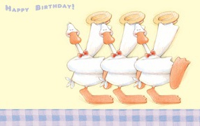 Geese with congratulations for birthday