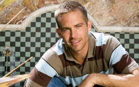 Paul Walker in the style of the summer