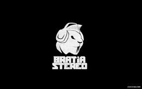 Bratia Stereo новый проект Басты