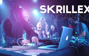 Skrillex in the club