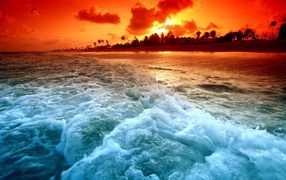 Beach at sunset in tropics