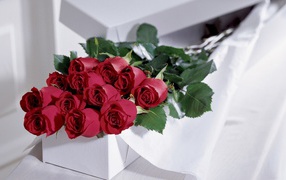 Bouquet of roses in a white box