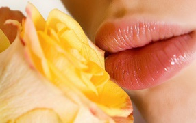 Поцелуй желтой розы