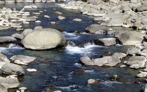 Каменистая речка