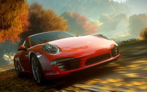 Porsche is speeding in the autumn woods