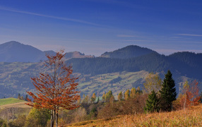 The autumn in Romania