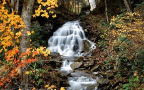 The waterfall autumn