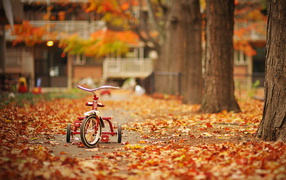Tricycle in autumn park