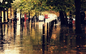 Wet city street