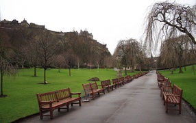 	 Alley of the benches in the Park
