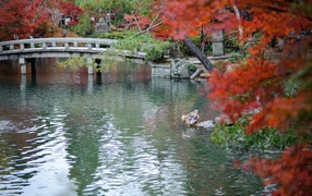 	 Japanese autumn landscape