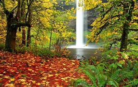 	 Waterfall in autumn forest