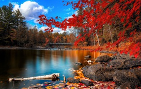 the amazing view of the autumn