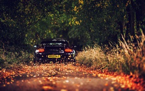 the car is riding on the autumn road