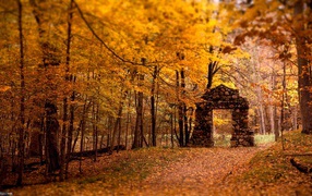 the door to the autumn