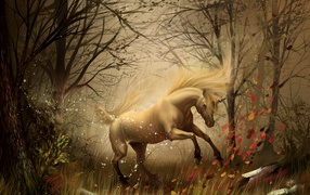 the horse playing in the autumn woods