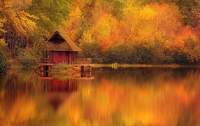 the lake in autumn HD