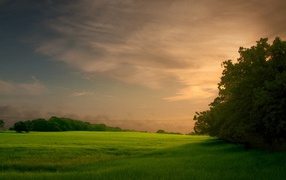 Sunset on the green field