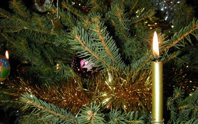A Christmas tree and a burning candle