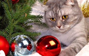 Christmas toy cat