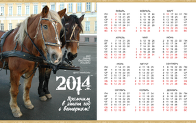 New Year 2014, the year a very fast horse