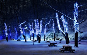 Новогодняя елка в зимнем парке