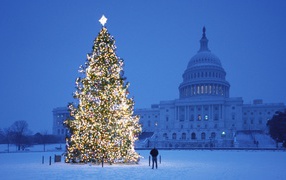 Новогодняя елка у Белого дома