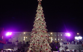 The beautiful New year tree in the center of the city