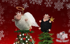 Two sheep on Christmas