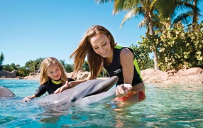 Playing with the Dolphin